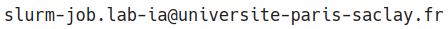 slurm-job.lab-ia at universite-paris-saclay.fr.